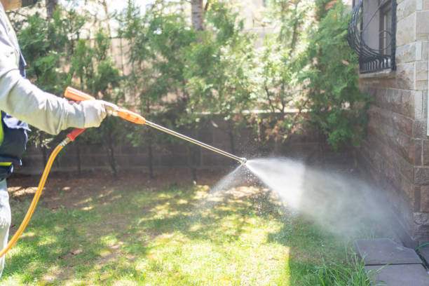 Pest Prevention Services in Orchard Mesa, CO