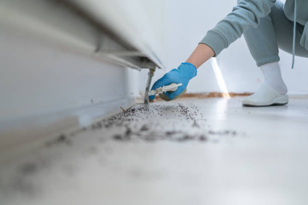 Best Affordable Pest Control Services  in Orchard Mesa, CO