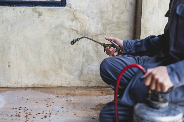 Best Emergency Pest Control  in Orchard Mesa, CO