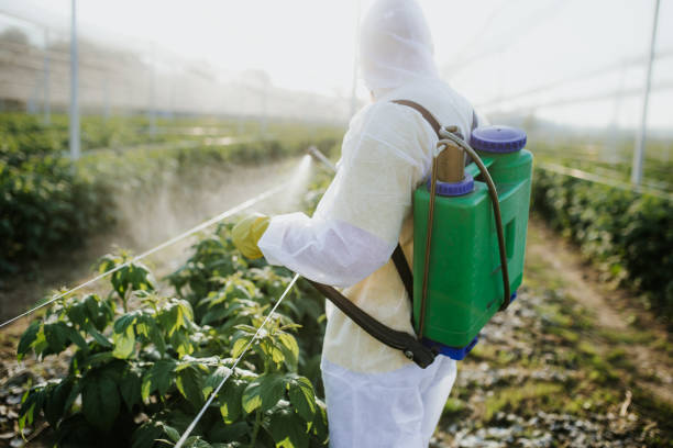 Pest Control for Restaurants in Orchard Mesa, CO